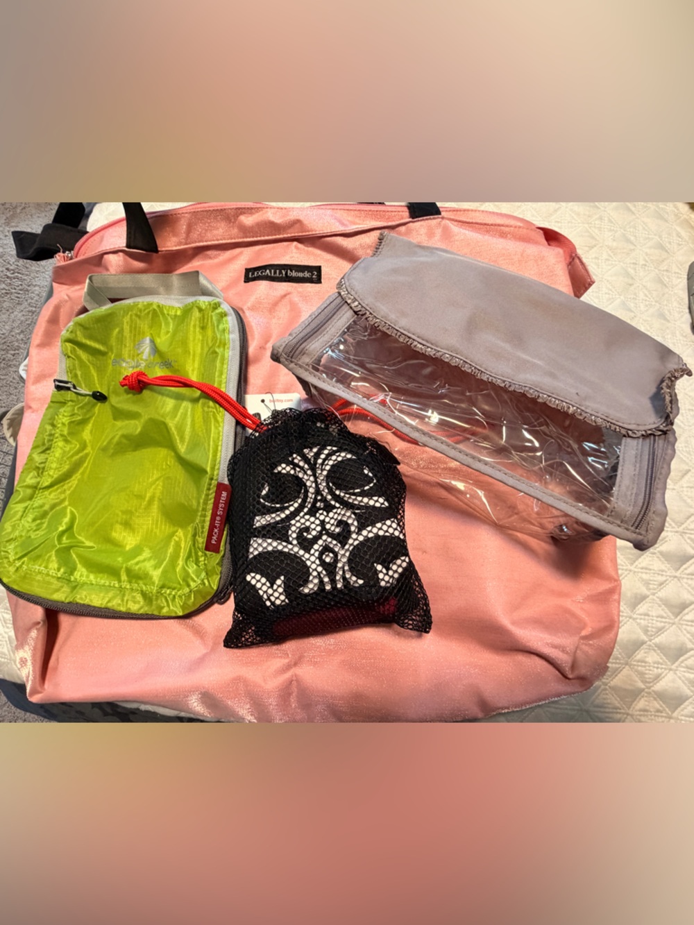 ~Travel/Packing Lot of 4: 2 Packing Cubes, 1 Tote, 1 travel slippers *EUC* $75